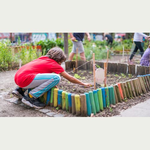 Gemeinsam für mehr Artenvielfalt auf dem Schulgelände: 66 Schulgruppen erarbeiten Ideen und Konzepte für den Wettbewerb Blühende Schulen